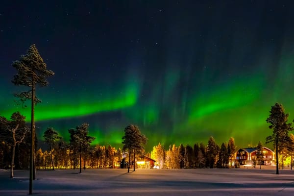 A Love Story Under the Northern Lights: Mehak’s Thrillophilia Trip Review of Scandinavia