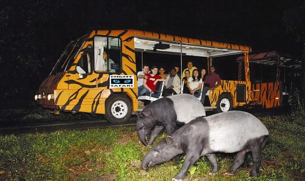 One Magical Family Night: Ahmad Abu’s Thrilling Singapore Night Safari with Thrillophilia