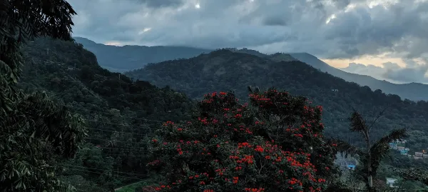 A Kerala Journey to Remember: Dimple’s Thrillophilia Review